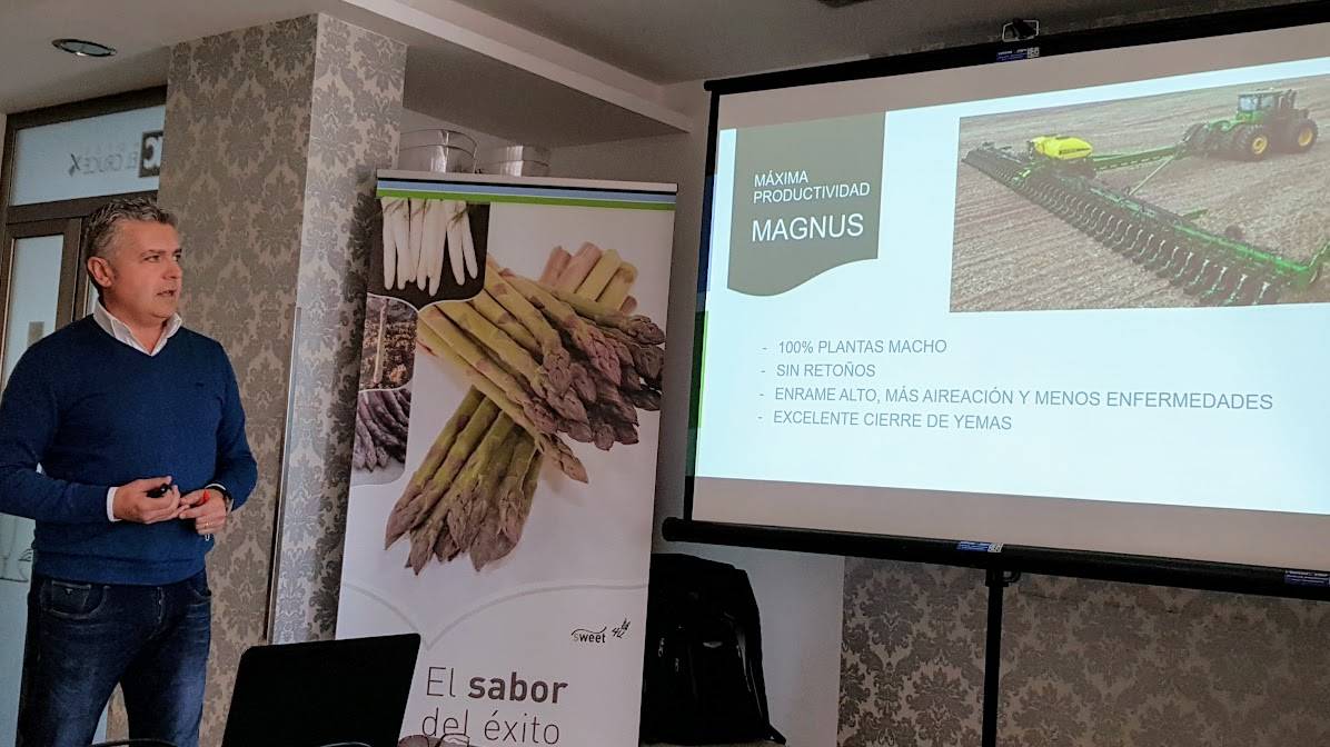 Esparrago-Bejo-Magnus|GZ_011293_Asparagus_Magnus_-Bejo_2828-|TEMP Atticus.JPG|espárragos|1|2e|3e|4e|green-1283756_960_720|CE